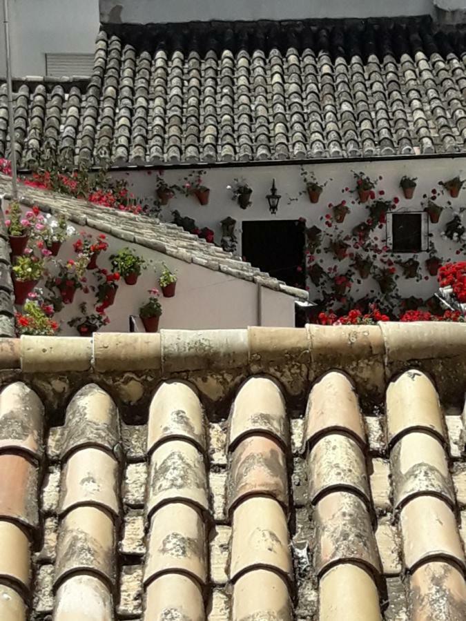 Los Tejares Del Alcazar Kordoba Bagian luar foto