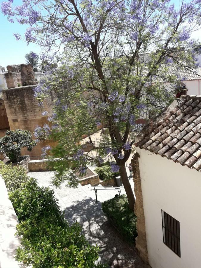 Los Tejares Del Alcazar Kordoba Bagian luar foto